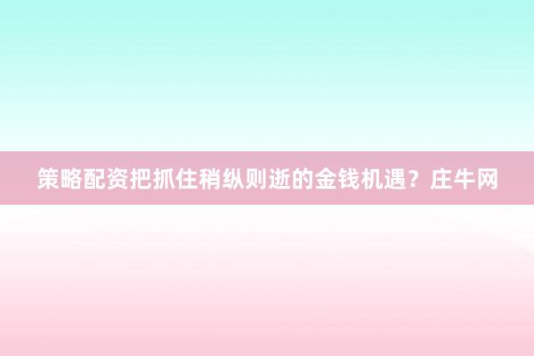 策略配资把抓住稍纵则逝的金钱机遇?庄牛网