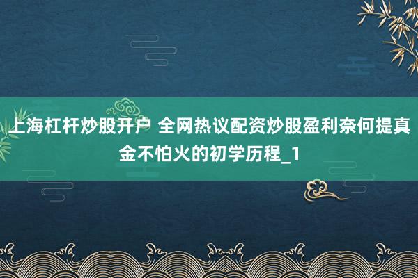 上海杠杆炒股开户 全网热议配资炒股盈利奈何提真金不怕火的初学历程_1