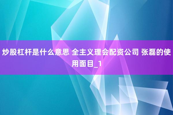 炒股杠杆是什么意思 全主义理会配资公司 张磊的使用面目_1